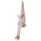 Northlight; 32" White & Pink Sitting Easter Bunny Gnome Figure; Category:Spring Tabletop Decor; Image:5